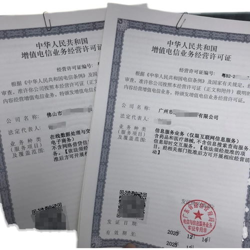 重慶音樂(lè)網(wǎng)文公司的咨詢服務(wù) 信息咨詢服務(wù)的深度解析